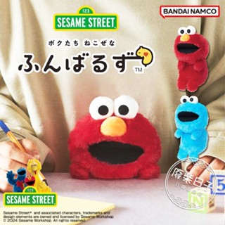 【正版日貨】[現貨]限量日本芝麻街矯正坐姿娃娃超柔觸感 Elmo/餅乾怪獸絨毛娃娃 調整坐姿防駝背療癒抱枕 辦公室靠枕
