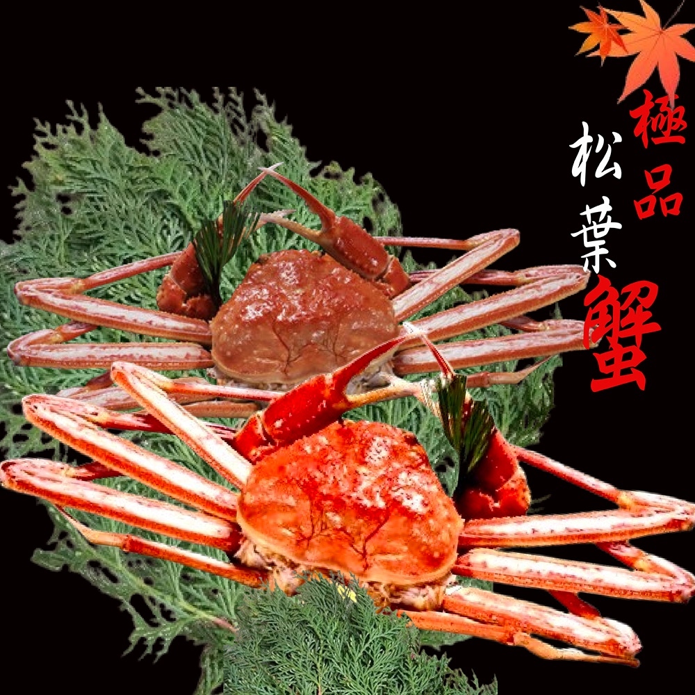 【海之醇】新產季-熟凍整隻正松葉蟹700-800g