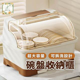 碗盤收納架 餐具收納架 碗盤置物架 碗盤瀝水架 餐具收納櫃 大容量瀝水收納盒 廚房碗盤收納架 瀝水架 置物盒
