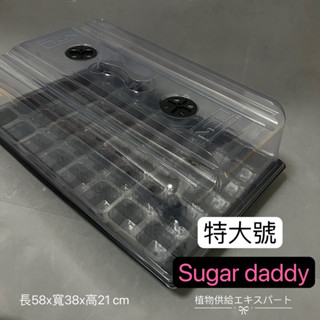 Sugar Daddy 鹿角蕨 植物燈盤 育苗盒 悶箱 植物燈 育苗盒專用燈