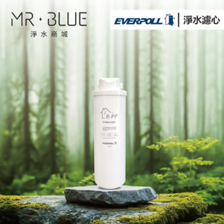 【EVERPOLL】RO-600 淨水器 高效複合式 濾芯濾心(超取限制，購買六隻以上請使用宅配)