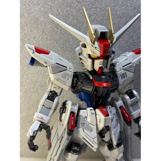 {鋼彈的屋-模型工作室} 萬代 MGSD 自由 塗裝 完成品 (實品如圖) 鋼彈 模型 代工