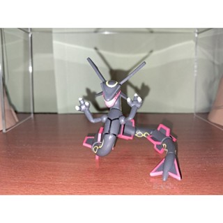 正版 takara tomy 神奇寶貝 寶可夢 黑色烈空座 黑暗烈空座 異色烈空座 公仔 [科比 布萊恩]