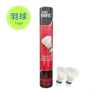 羽毛球 鵝毛羽球 羽球入門 成功 45080 SUCCESS 白色羽毛球 訓練用球 鵝毛羽毛球 運動 體育 電子發票