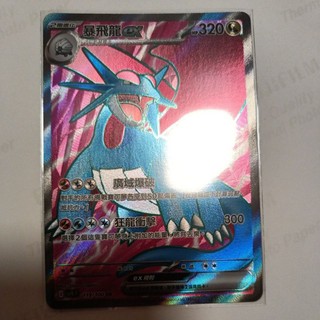 ptcg 寶可夢 中文版 對戰搭檔 暴飛龍 ex sr 119/100 sr