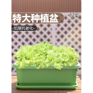 花盆 菜盆 種菜盆 塑膠噴 種植箱 蔬菜盆 陽臺種菜盆專用箱家用大號蔬菜種植箱塑膠長方形庭院戶外加厚花盆