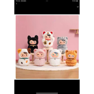 《現貨》Lisa同款Popmart 泡泡瑪特 pucky 喵喵不倒翁搪膠毛絨系列盲盒 黑貓 白貓 三花 粉貓 隱藏 虎斑