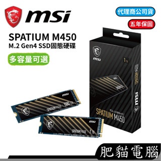 MSI 微星 SPATIUM M450 500GB 1TB V1 M.2 PCIe 4.0 SSD 固態硬碟