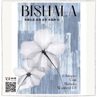 【芒果咖啡】 衣索比亞 _『 古吉 水風鈴 G1 』水洗處理 _ 咖啡豆(227g/包) / 淺焙
