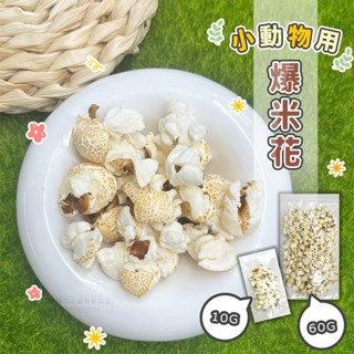 【現貨】小動物爆米花 原味爆米香 倉鼠零食 小寵零食 點心 無調味爆米花 黃金鼠 三線鼠 銀狐鼠 蜜袋鼯 寵物鼠類零食