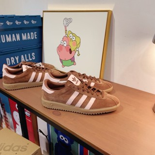 Sugar_tw - 現貨 Adidas Bermuda 泰迪熊粉棕 柔粉可可 可可棕 復古 德訓鞋 JH9088