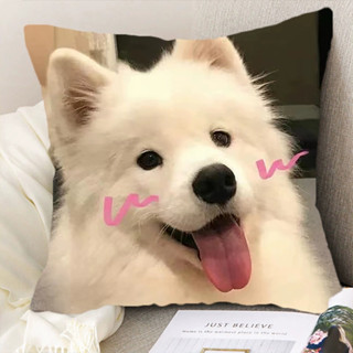 親驗百百款貨 臺中現貨 抱枕區18 QQ萌寵抱枕小貓咪 柴犬狐狸犬狗照片萌寵枕頭寵物店靠墊 娃娃機臺主發沙椅子 午休趴睡