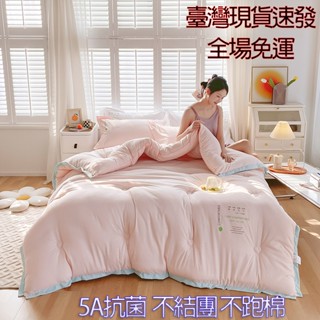 【菲比】臺灣現貨免運速發 5A抗菌柔軟親膚冬被 現代風格冬棉被子 不起球不跑棉素色被胎 孕婦母嬰級被芯 速熱裸睡首選棉被