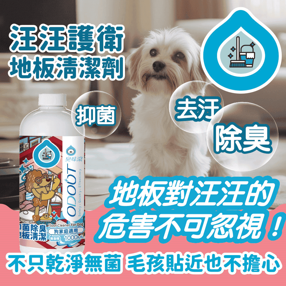 🐶犬用🐶【ODOUT 臭味滾】犬用地板清潔劑 1000ML 4000ML 地板清潔劑 99%抑菌 +5種防黴 無刺激反應
