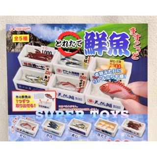 《$uper Toys》全新現貨 扭蛋 轉蛋 J.DREAM 袖珍 盒裝鮮魚 魚市場 水產 魚 海鮮市場 模型 海鮮