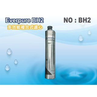 【龍門淨水】Everpure BH2淨水器. 另售S100、S104、H104、4C (貨號BH2)