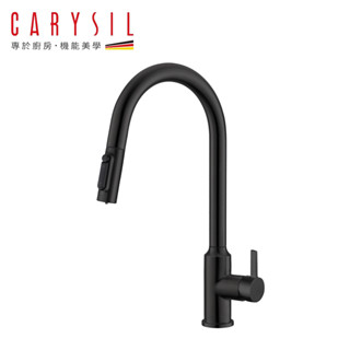 Carysil艾美 RO三用廚房龍頭 不含安裝 F14-3001