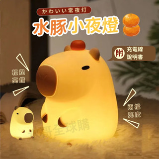 【現貨最低價✨隔日出貨】小夜燈 卡皮巴拉 小夜燈 水豚君夜燈 造型夜燈 小檯燈 造型夜燈 水豚君 交換禮物 床頭燈