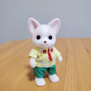 二手。森林家族。吉娃娃。吉娃娃爸爸