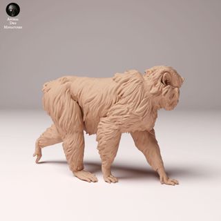 【✨AKIRA STUDIO✨非成品】 白模 GK 模型 Animal Den 日本猴 1/8