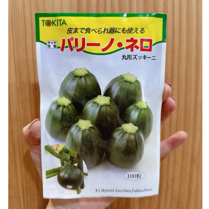 原包裝 100粒 日本綠圓櫛瓜種子 綠色圓形櫛瓜種子 圓櫛瓜種子 綠櫛瓜種子 綠色圓櫛瓜種子 綠圓櫛瓜種子 節瓜種子