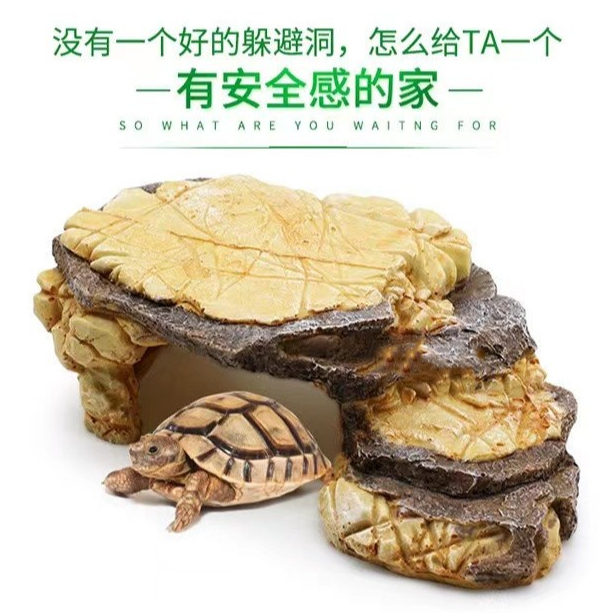烏龜曬台 烏龜爬台 烏龜浮台 烏龜浮島 平台 烏龜高台 烏龜躲藏