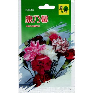 愛上種子 康乃馨種子【花卉種子】翠筠牌 每包約60粒 無藥劑處理 彩色原包裝種子