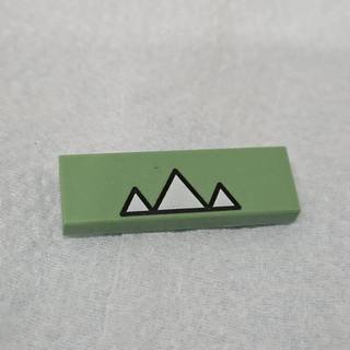 LEGO 樂高 二手零件 63864 印刷瓷磚