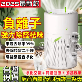 【特價免運】負離子空氣清淨機 高品質空氣濾淨器 除濕清淨機 車用清淨機 寵物清淨機 小型淨化器 家用除異味 除甲醛淨化器