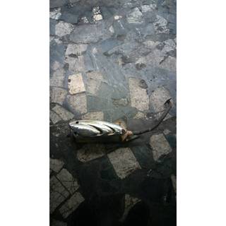光陽 三冠王 中古 排氣管（化油器板）汽油桶後面的（公司） --(請詢價)