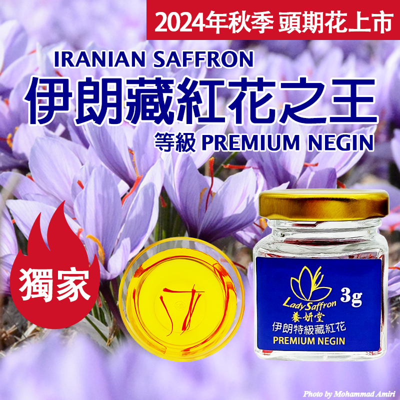 【頂級】2024年秋季頭期花 台灣發貨 伊朗特級藏紅花3克 超越頂級超長花絲PREMIUM NEGIN  saffron