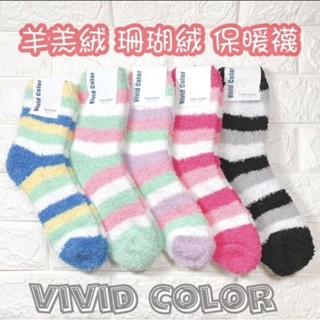💫韓國帶回💫vivid Color 彩色條紋羊羔絨襪 珊瑚絨 保暖襪 月子襪 抗寒 寒冷必備