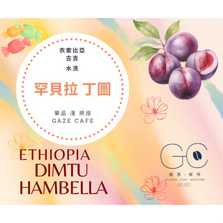 【臺灣亞軍 世界盃烘豆大賽】丁圖 罕貝拉 衣索比亞 咖啡豆 手沖咖啡 谷吉 莊園咖啡豆 阿拉比卡 水洗