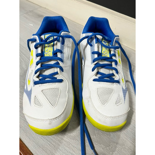 MIZUNO GATE SKY plus 美津濃 羽球鞋 羽球 止滑 包覆性 螢光 亮眼 百搭 流汗 羽毛球 小戴 球場