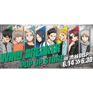 (現貨) 日本正版 WIND BREAKER 防風少年 ストリートver. 立牌 杯墊 色紙