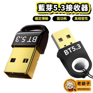 藍芽5.3接收器 鍍金接頭 USB 免驅動 藍芽接收 瑞昱 無線接收器 藍芽發射器 支援Win10/11