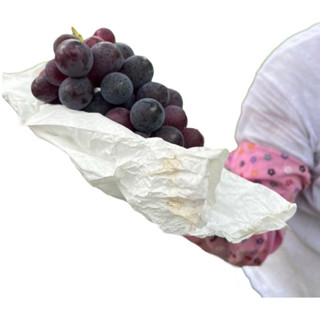 😋大顆的葡萄 全臺免冷藏運費 🇹🇼南投草屯巨峰葡萄 🍇