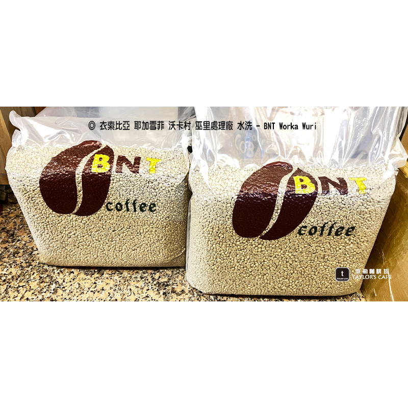 【TDTC 咖啡館】精選單品咖啡豆–衣索比亞 耶加雪菲 沃卡村 巫里處理廠 水洗- BNT Worka Wuri(半磅)