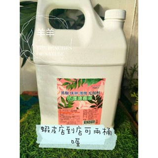 羊羊 尤加利茶樹淨化液_蝦皮店到店可兩桶