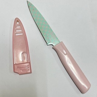 [沐沐屋] 瑞康 Kuhn Rikon 溫柔色系 鋼刃水果刀 廚房料理刀具 -