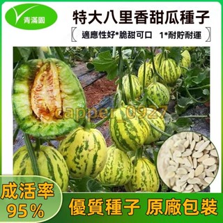 官方自營【原廠包裝】超甜八里香甜瓜種子產早熟八里香香瓜種籽春夏四季盆栽庭院種植 甜瓜種子大全