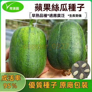 官方自營【原廠包裝】蘋果絲瓜種子可生吃菜瓜短棒肉絲瓜籽種春秋菜園盆栽蔬菜瓜果種子 絲瓜種子大全
