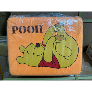 全新 現貨 迪士尼 小熊維尼 pooh 正版 吊牌 毛氈布 行李箱 28*22 化妝 化妝箱