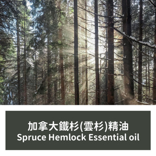 【馥靖精油】加拿大鐵杉精油(雲杉精油) Spruce Hemlock Essential Oil