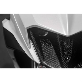三重賣場 JETSL 封眼大燈 SL封眼燈罩 JETSL卡夢大燈框 JETSL 單眼大燈罩 卡夢封燈罩 碳纖維封演燈罩J