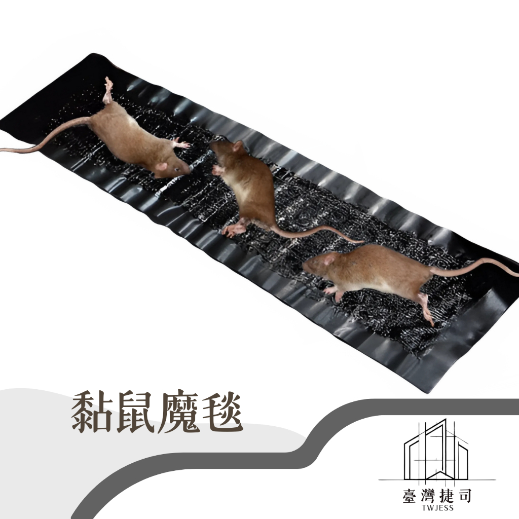 黏鼠魔毯 120公分 60公分 強力黏鼠毯 捕鼠 黑底黏鼠毯 黏鼠毯 捕鼠貼 大號黏鼠貼