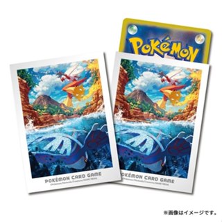【91特賣場】寶可夢 PTCG 卡套 64張入 蓋歐卡＆火焰雞 寶可夢中心 (全新未拆)