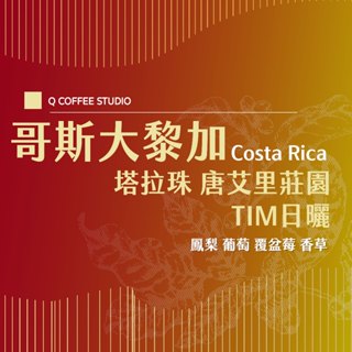 【單品兩件九折】哥斯大黎加 塔拉珠 唐艾裡莊園 TIM日曬處理｜單品咖啡 精品咖啡 果香咖啡豆 特殊處理法【Ｑ咖啡】