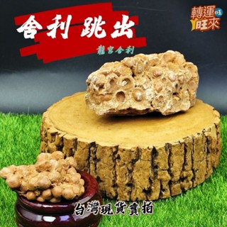 【臺灣現貨】天然 老礦料 龍宮 舍利 黃靈骨 佛眼 跳出 原礦 精品 擺件 轉運 開運 招財 招 好運 人緣 礦石 靈招