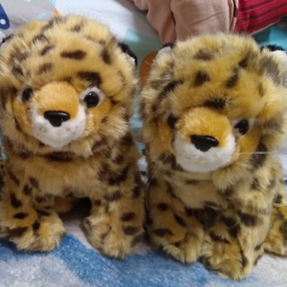 現貨 擬真 模擬 獵豹 寶寶 小獵豹 豹 貓 動物 絨毛 娃娃 玩偶